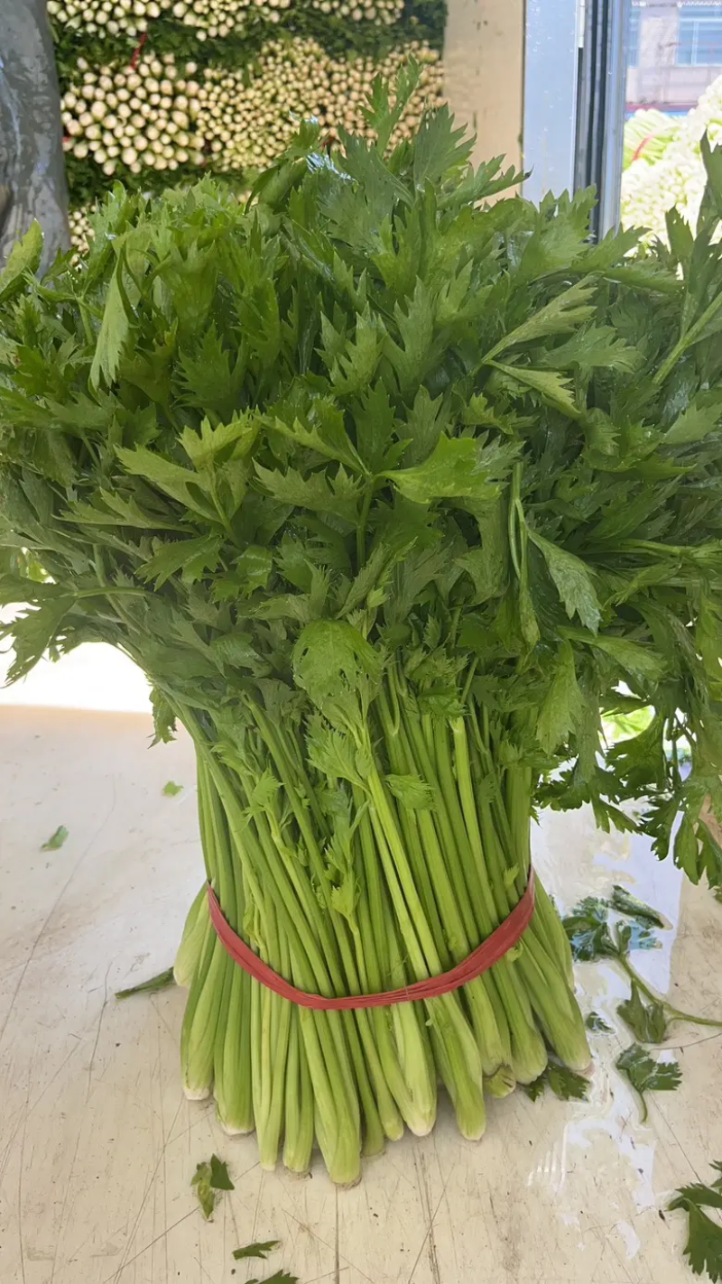 夏邑县大棚西芹，产地商丘夏邑，大量供应精品，质量三包