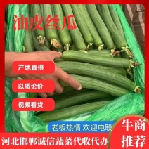 精品短丝瓜大量有货可视频保质保量量大价优对接商超电联