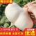 湖北凉薯一件ⅩⅩ对接电商，一手货源千亩基地