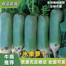 精品陆地萝卜，水果萝卜，大量上市吉林产地直发欢迎订购