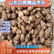 《芋头》山东毛芋头8520芋大量供应，分级挑拣，坏烂包赔