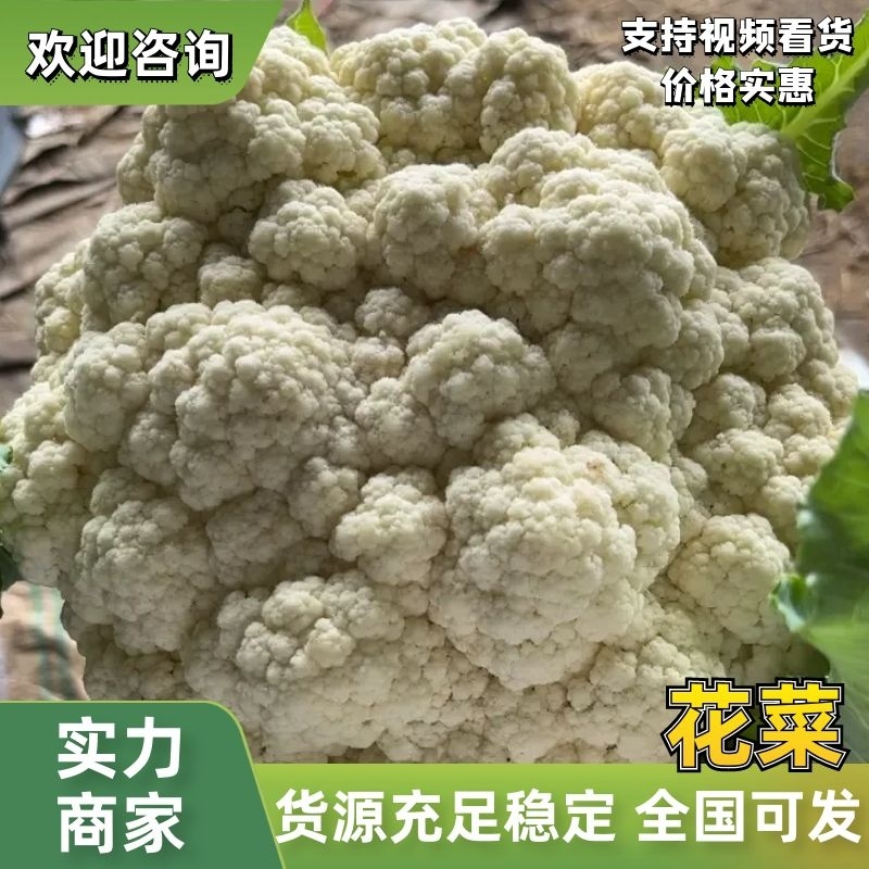 精品菜花白面青梗大量有货对接电商市场社区团购