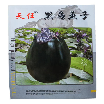 黑马王子茄子种子紫罐茄种子抗病早熟果色黑亮茄子种子