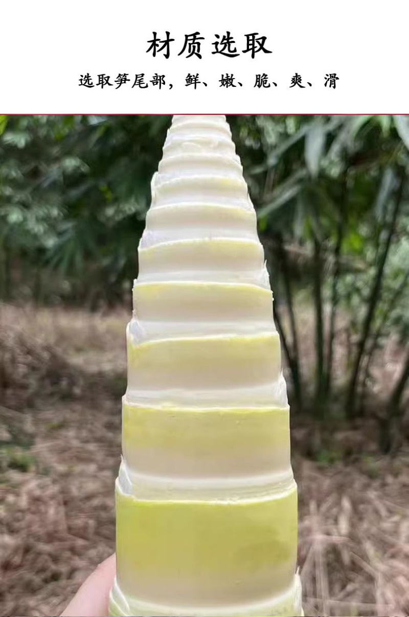 新鲜竹笋原味嫩笋尖真空包装清水笋片笋尾火锅笋脆爽口低脂