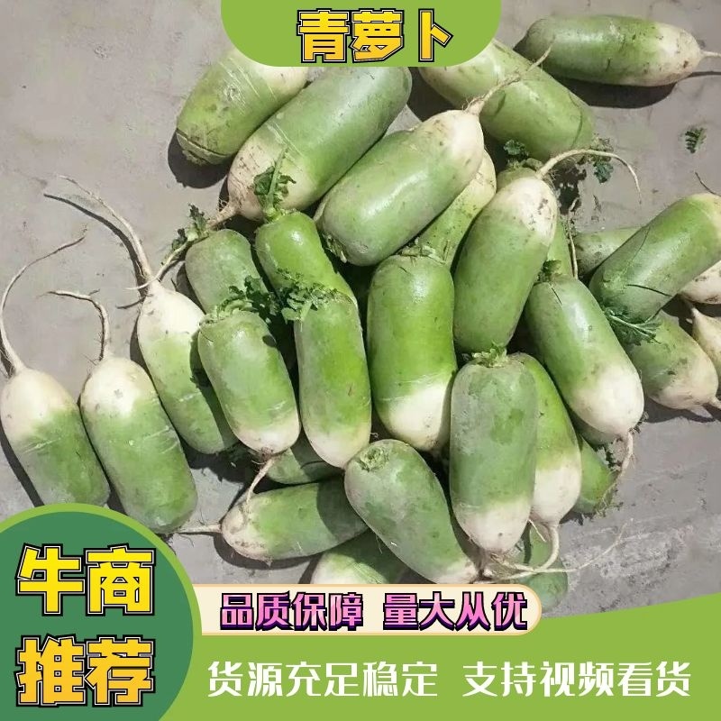 青萝卜电商货承接电商商超大量现货供应实力代办走货快