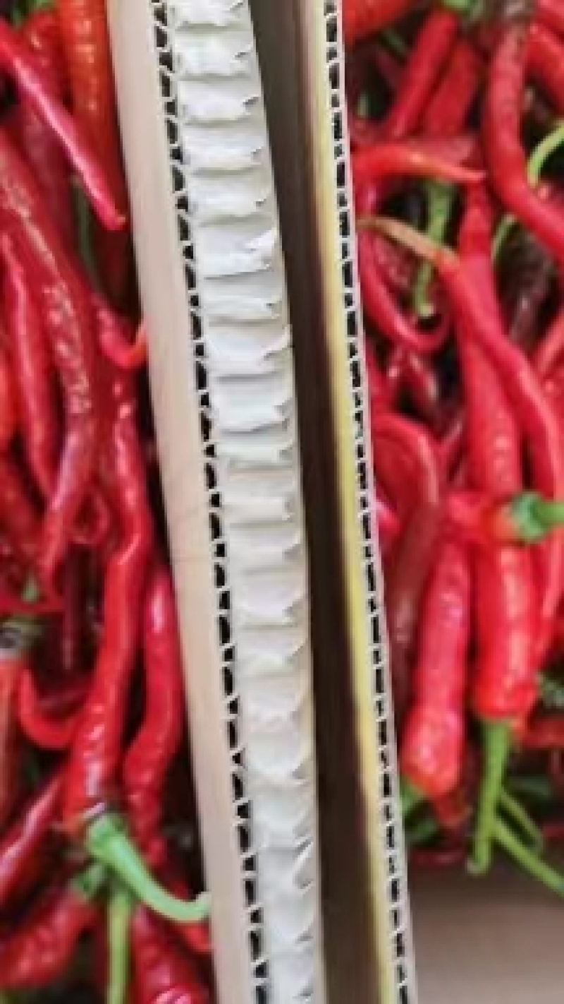 螺线辣椒，红辣子，线椒，可对接大型商超市场欢迎订购