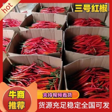 螺线辣椒，红辣子，线椒，可对接大型商超市场欢迎订购