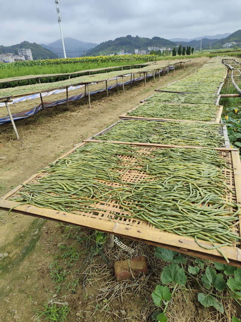 福建精品干豆角，品质保证，厂家直销，欢迎选购