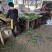 福建精品干豆角，品质保证，厂家直销，欢迎选购