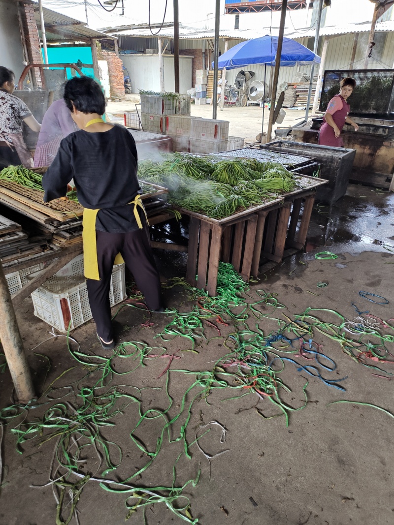 福建精品干豆角，品质保证，厂家直销，欢迎选购