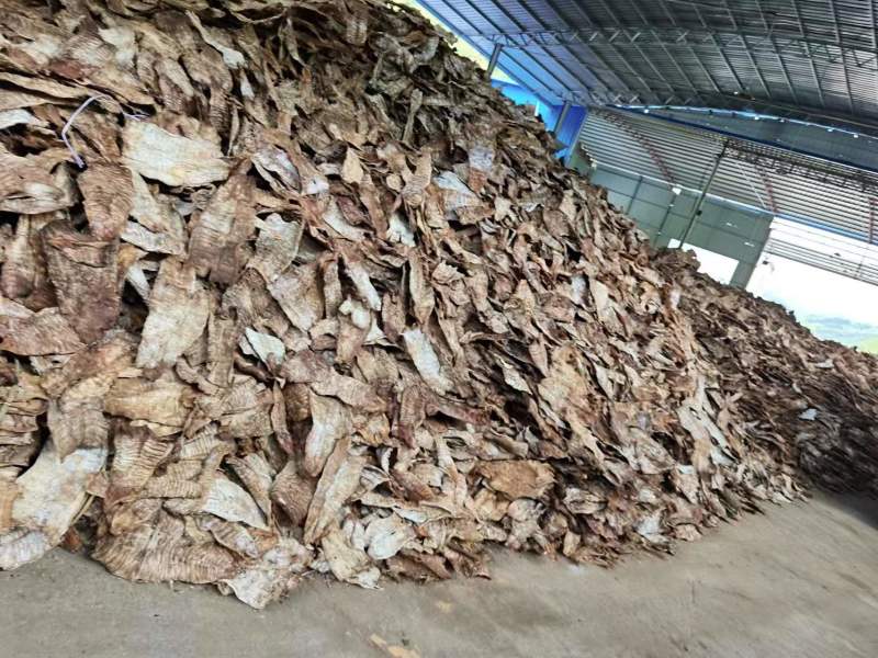 福建南平精品烤笋，工厂直发，味道好价格实惠欢迎选购