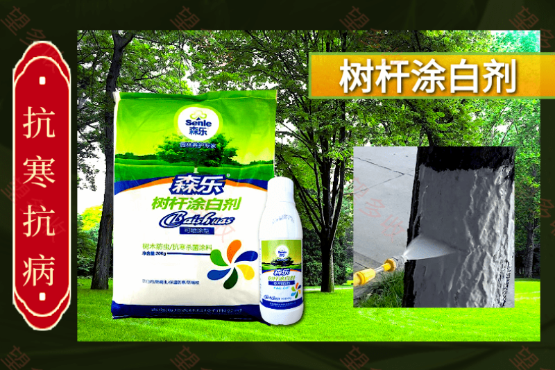 森乐树杆涂白剂抗寒防冻抗虫防病防虫咬果树园林专用涂白剂