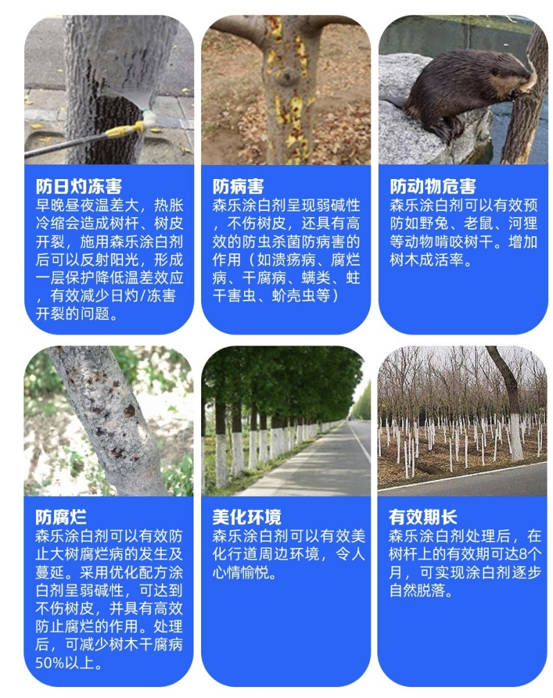 森乐树杆涂白剂抗寒防冻抗虫防病防虫咬果树园林专用涂白剂