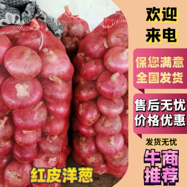 红，黄，紫等洋葱精品包装，长年供应，代存代收代发全国货。