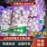 【热卖中】金乡大蒜新蒜老蒜紫皮蒜专业代收代存代发市场商超