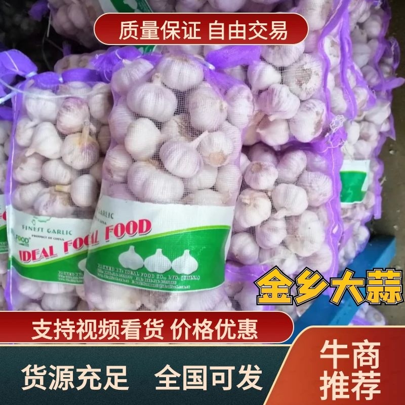 【热卖中】金乡大蒜新蒜老蒜紫皮蒜专业代收代存代发市场商超