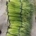 金乡红帽蒜苔大量有货，质量好，价格低，随到随装，一吨起批