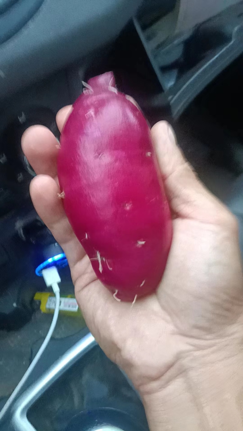 【热卖中】湖南紫薯008紫薯洗水货可对接电商商超市场