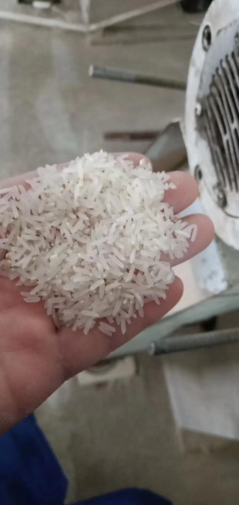 象牙香米货源充足产地直供可对接连锁商超欢迎订购