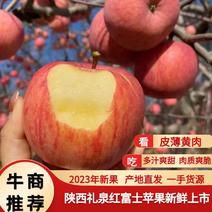 陕西红富士苹果，保质保量，量大从优新鲜采摘，欢迎老板来电选购