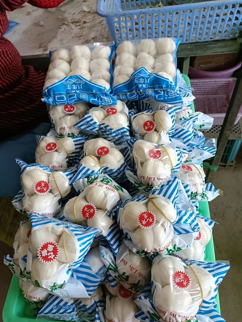 兰州鲜百合，甜脆可口，【2到3颗大果】产地直发电联