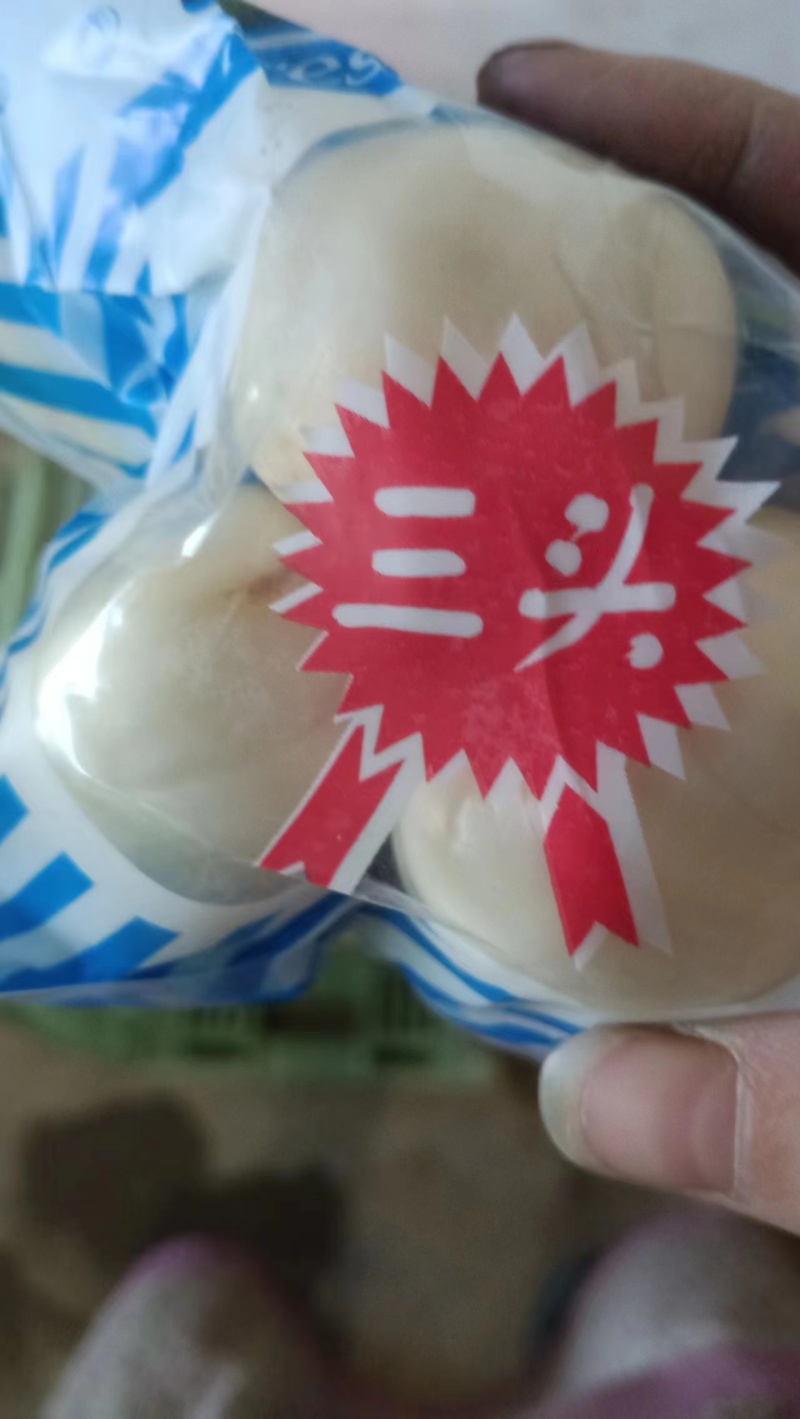 兰州鲜百合，甜脆可口，【2到3颗大果】产地直发电联