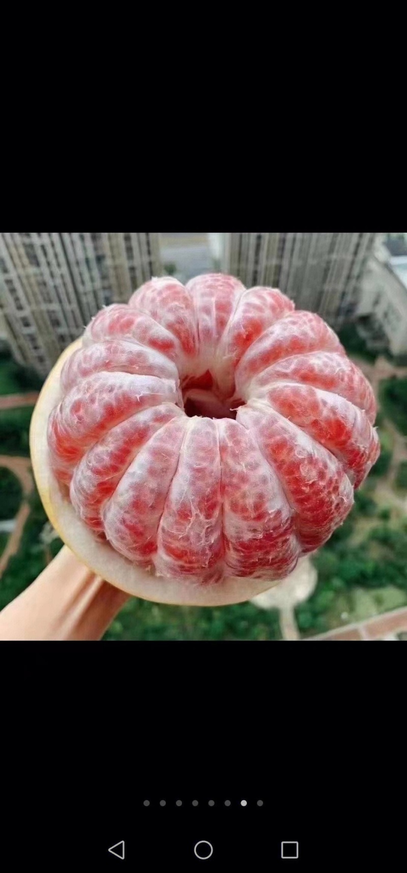 红心蜜柚，皮薄汁水多，产地直发、长期供货、欢迎选购看货