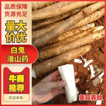 广西白鬼山药，新货上市，粉，糯，规格齐全