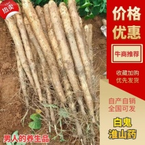 广西白鬼山药，新货大量上市，价格实惠，产地直发，