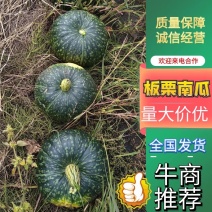 板栗南瓜，内蒙古板栗南瓜，大量现货精品供应