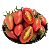 千亩迷彩圣女果番茄基地常年供应电商社区紫弹头子弹头小西红