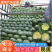 扁包菜【实力商家】墨玉50包菜精品甘蓝基地直供一条龙