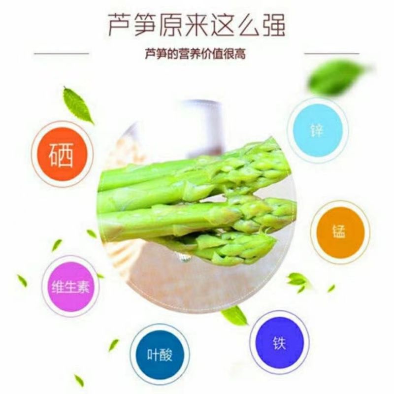 精品红薯粉皮大量供应地瓜粉皮一手货源资质齐全诚信经营