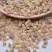 乳香珠1000克【华美中药】中药材批发现货供应选货乳