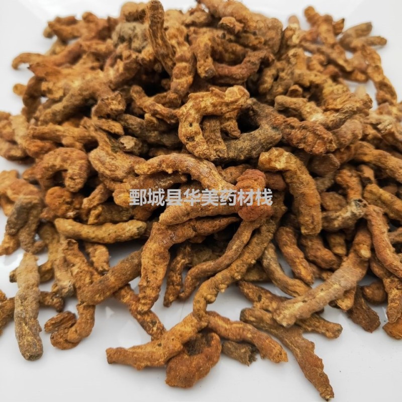 炒僵蚕1000克【华美中药】中药材批发现货供应产地四川