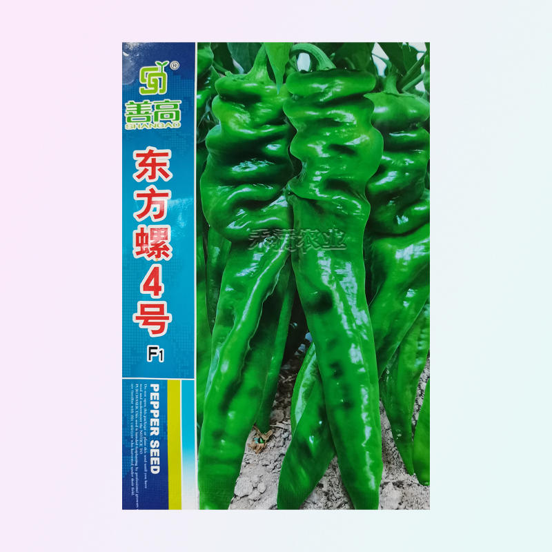超大果32厘米螺丝椒种子陇椒龙椒种籽辣椒种子辣椒种子
