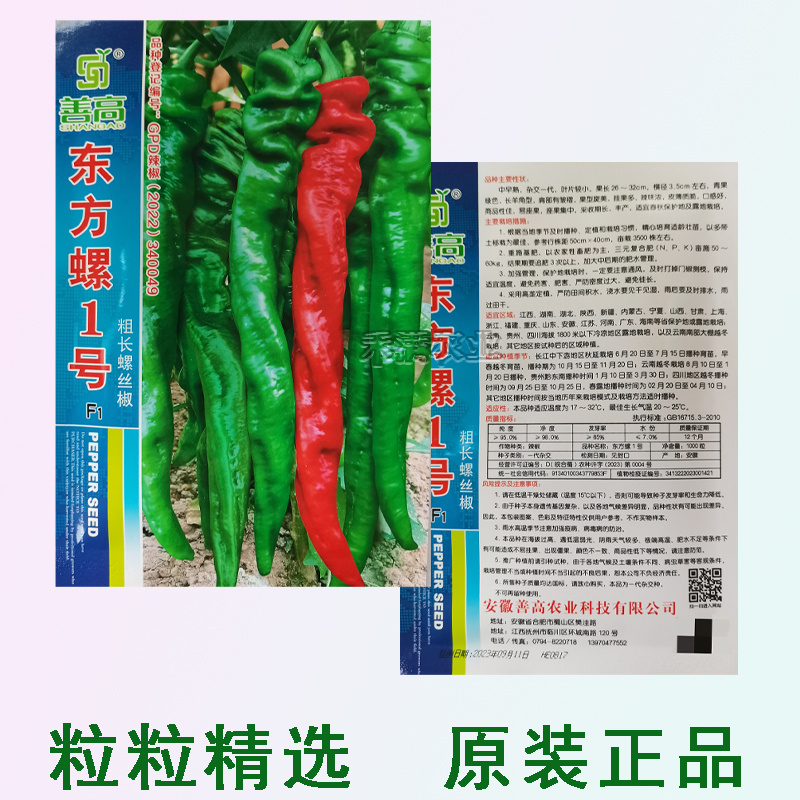 超大果32厘米螺丝椒种子陇椒龙椒种籽辣椒种子辣椒种子