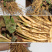 鱼腥草种苗红根折耳根种苗四季可种植种根直供包邮