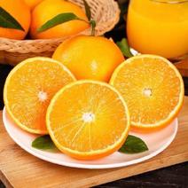 爱媛果冻橙产地直发自家种植诚招老板价格
