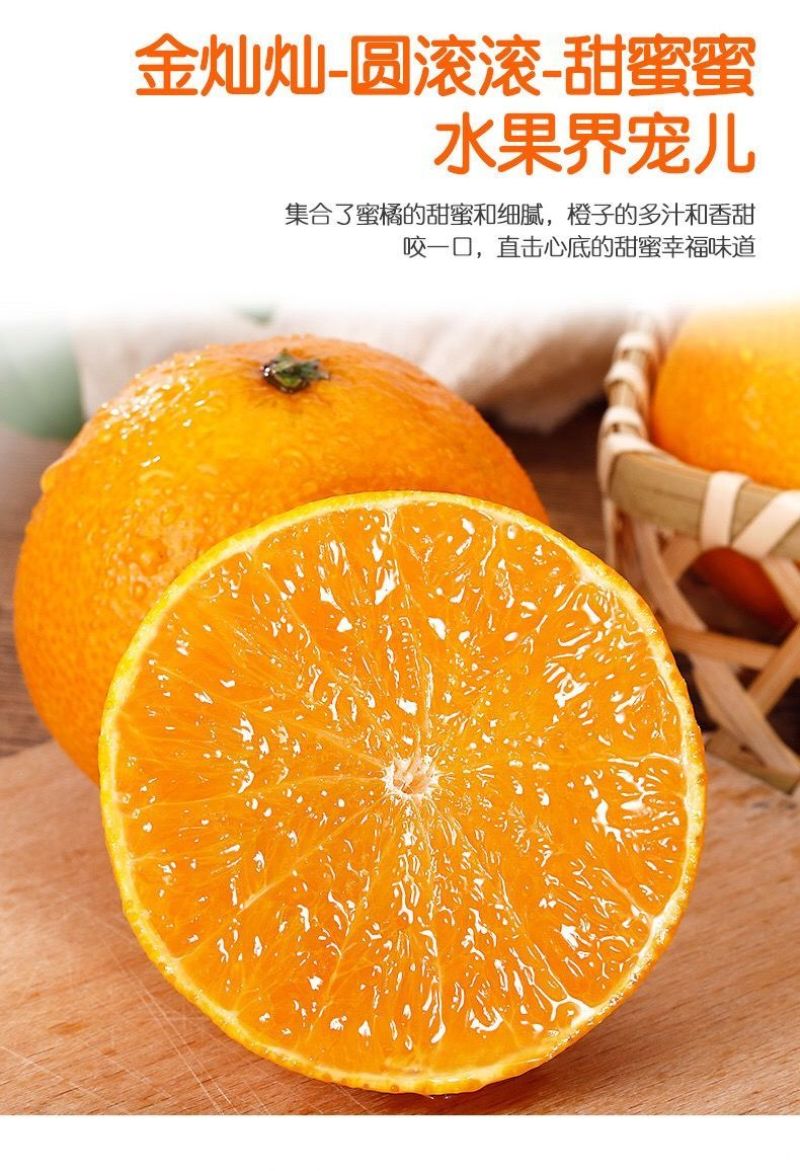 爱媛果冻橙四川橙支持代发视频看货市场代办社区团购抖音电商