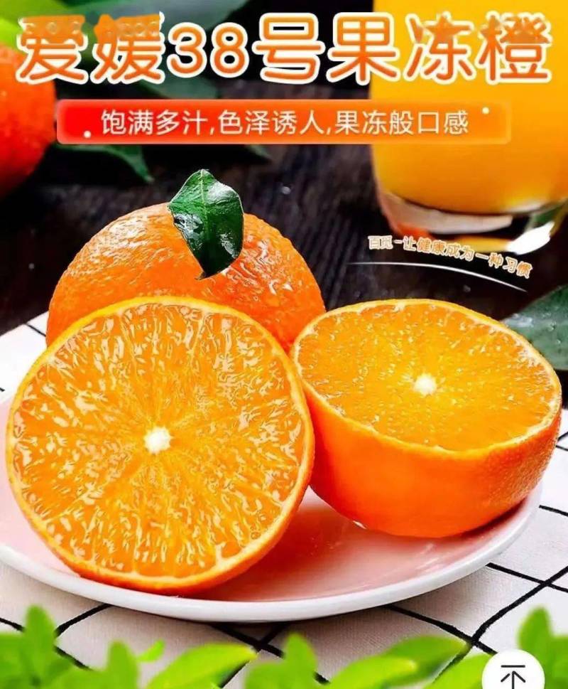 爱媛果冻橙四川橙支持代发视频看货市场代办社区团购抖音电商