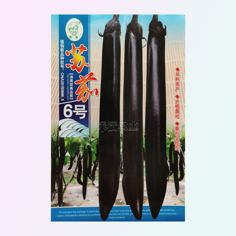 茄子种籽大全种籽春秋季阳台盆栽蔬菜种孑四季茄子种子