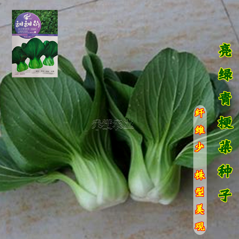 正宗甜甜的杂交青梗菜种子上海青种籽大全四季种子上海青种子