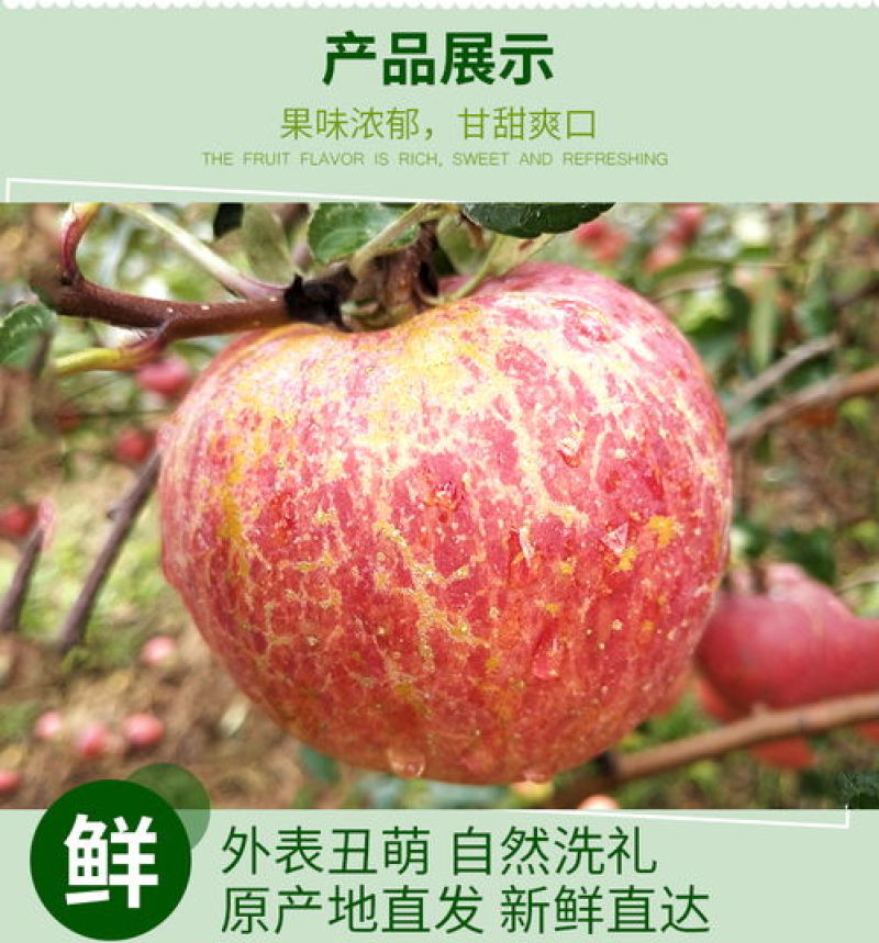 四川盐源丑苹果支持代发视频看货市场代办社区团购抖音电商