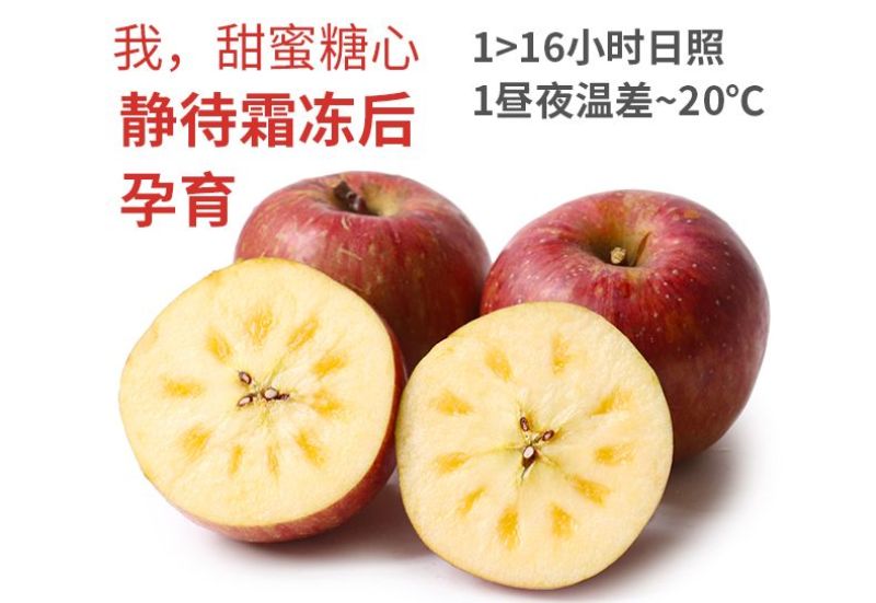 四川盐源丑苹果支持代发视频看货市场代办社区团购抖音电商