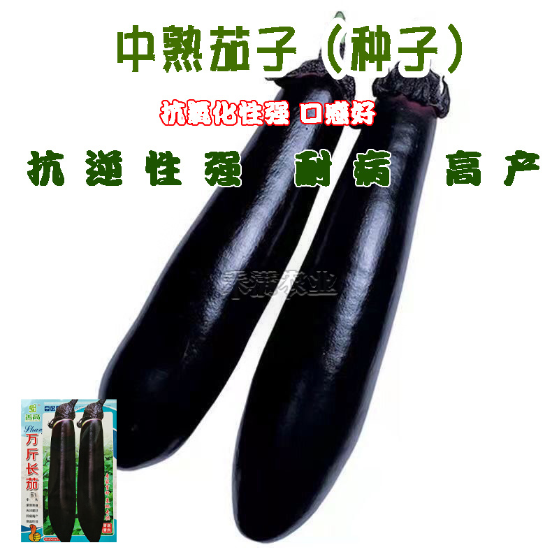 基地优品茄子种子大全南方特大早熟紫黑油亮茄子籽烧烤茄子种