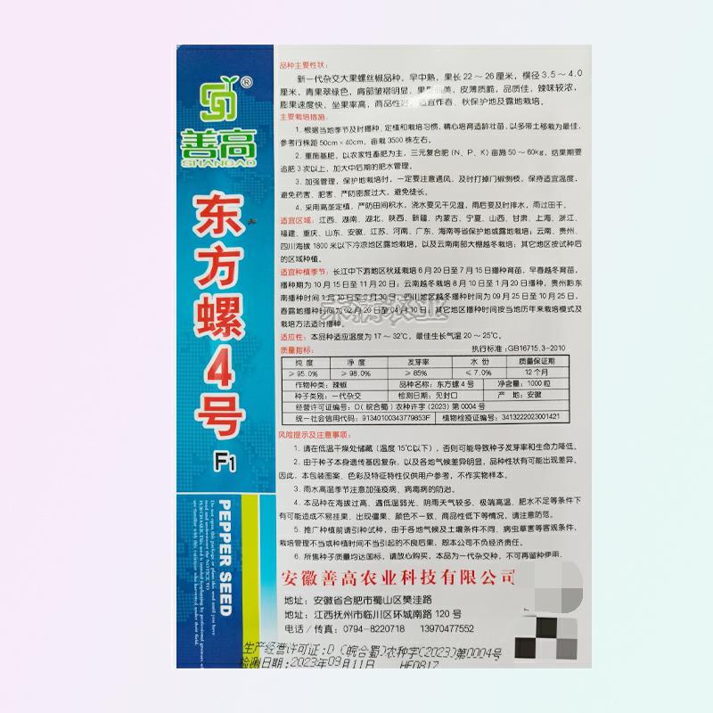 超大果32厘米螺丝椒种子陇椒龙椒种籽辣椒种子四季辣椒种孑