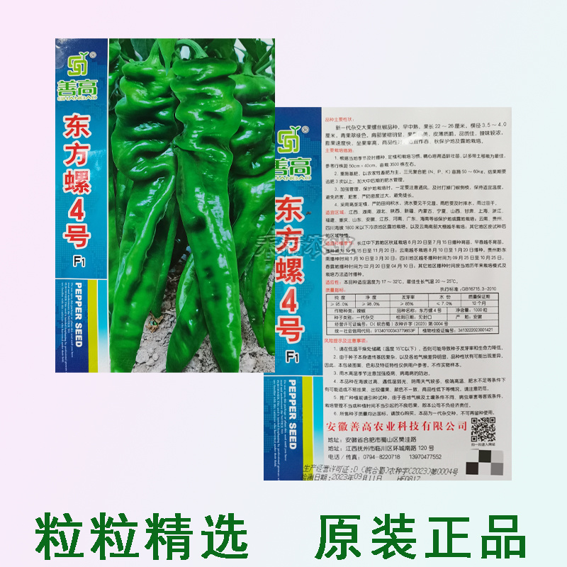 超大果32厘米螺丝椒种子陇椒龙椒种籽辣椒种子四季辣椒种孑