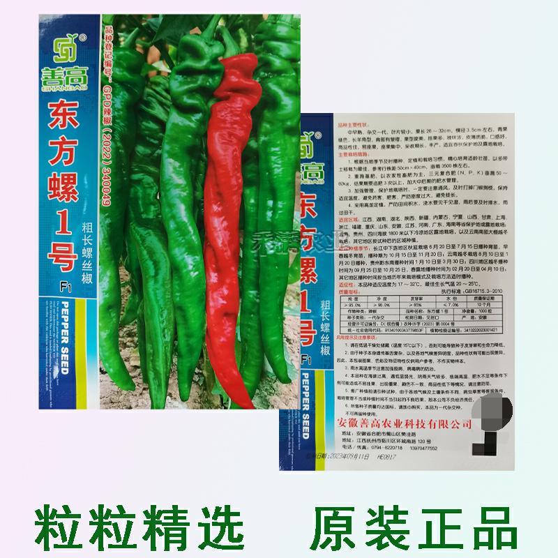 超大果32厘米螺丝椒种子陇椒龙椒种籽辣椒种子四季辣椒种孑