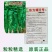 超大果32厘米螺丝椒种子陇椒龙椒种籽辣椒种子四季辣椒种孑